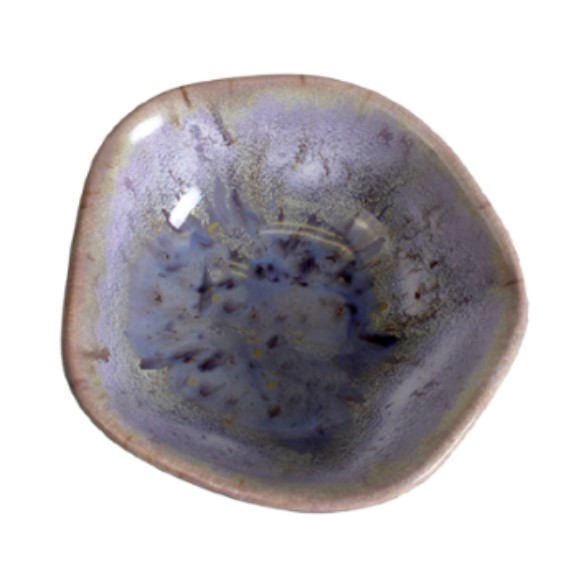 kleine organische Schale